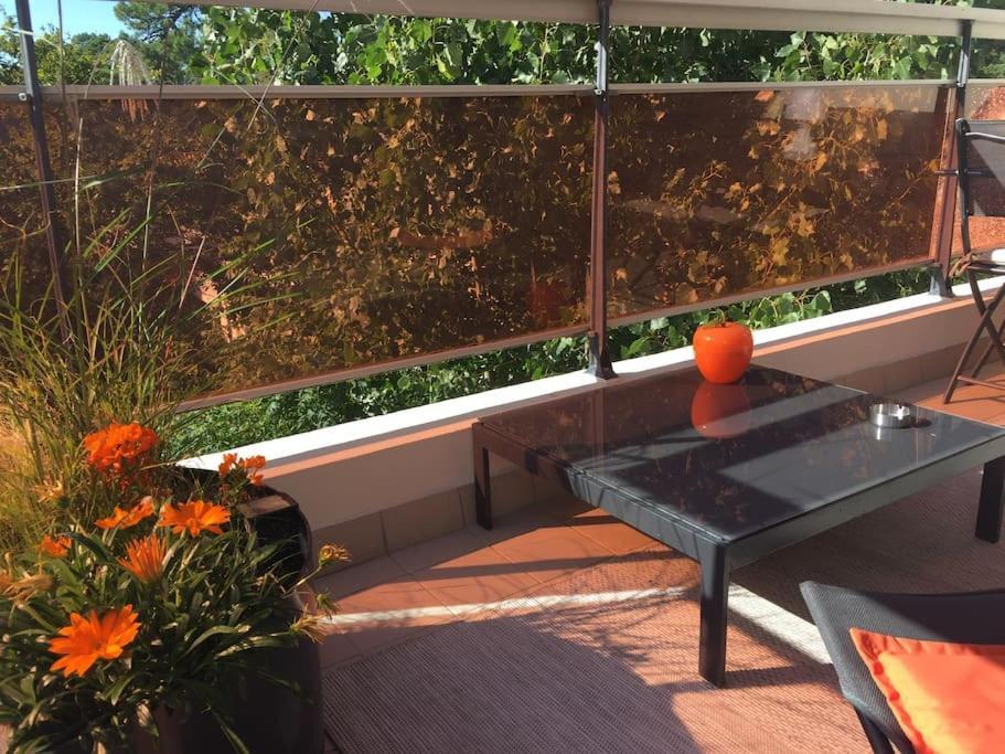 : T2 Tres Proche Au Calme Apartment